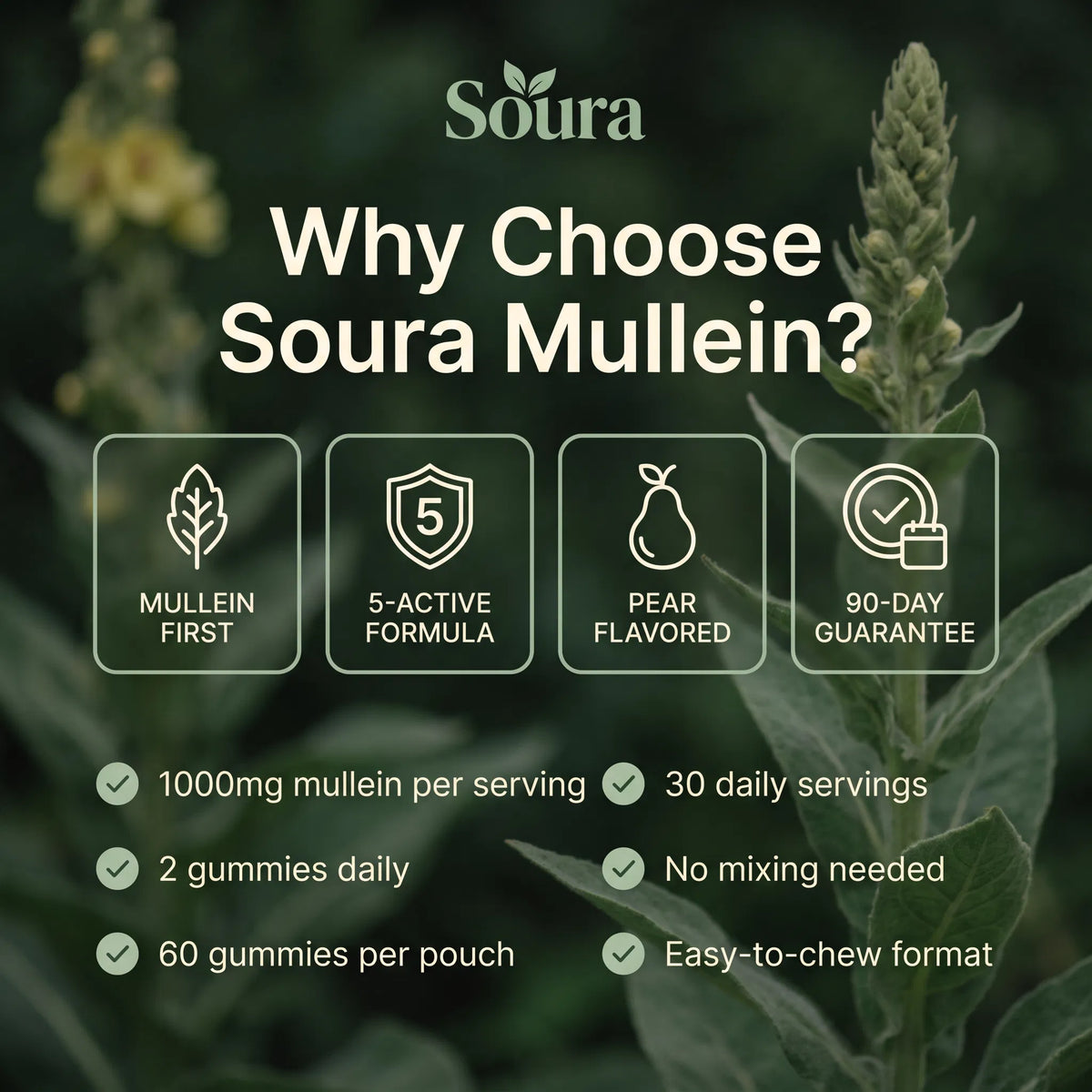 Mullein Gummies