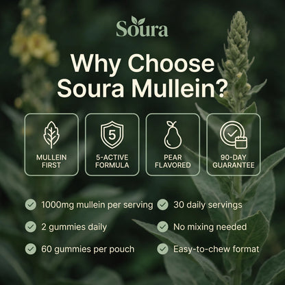 Mullein Gummies