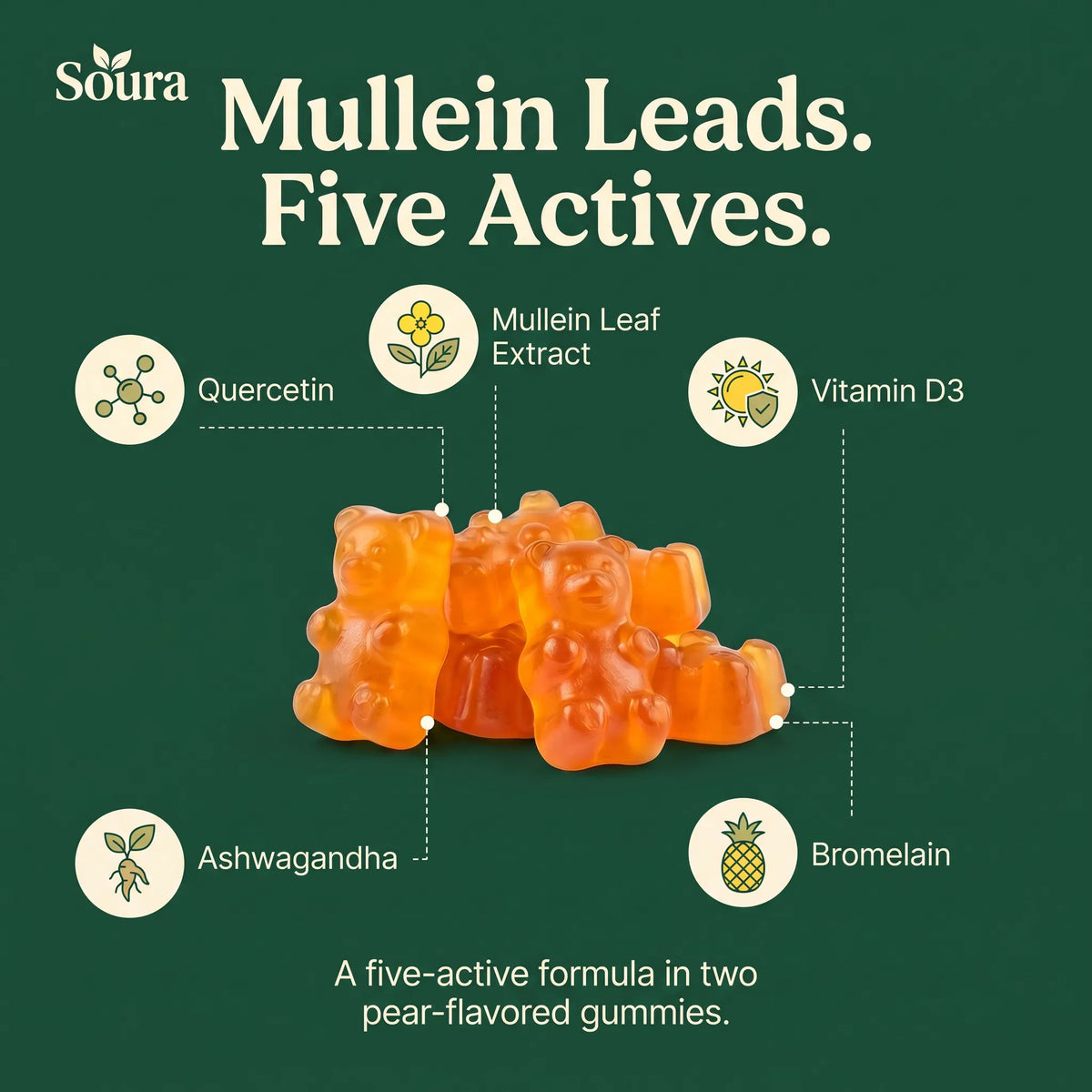 Mullein Gummies