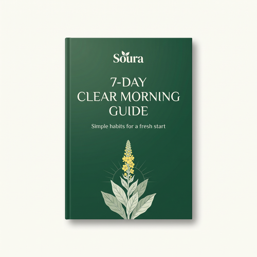 7 Day Clear Morning Guide