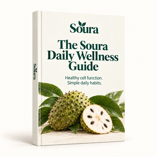 Daily Wellness Guide